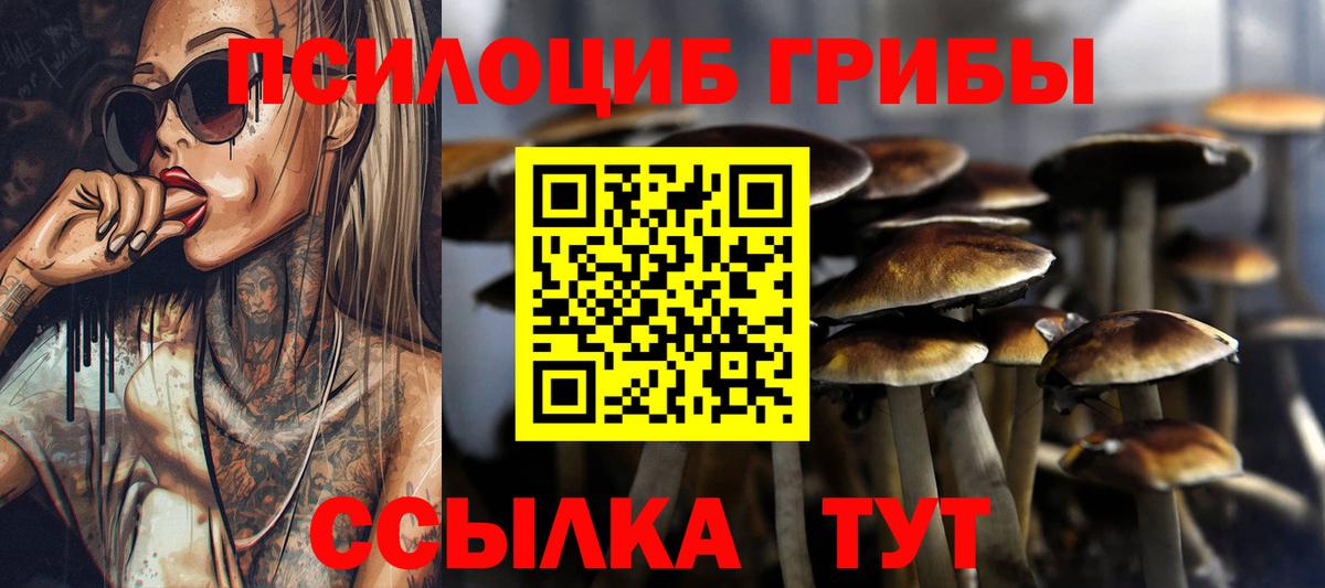 Галлюциногенные грибы мухоморы Дивногорск
