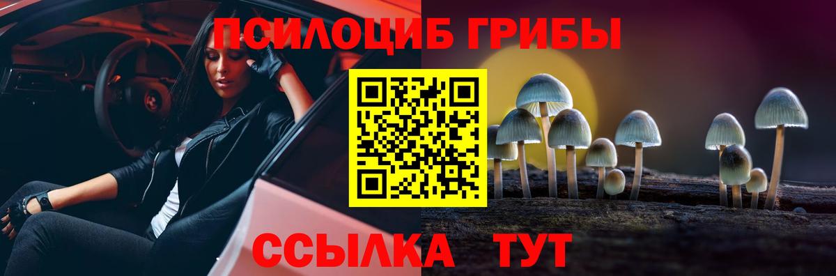 Псилоцибиновые грибы ЛСД  Вход с VPN  где найти   Дивногорск 